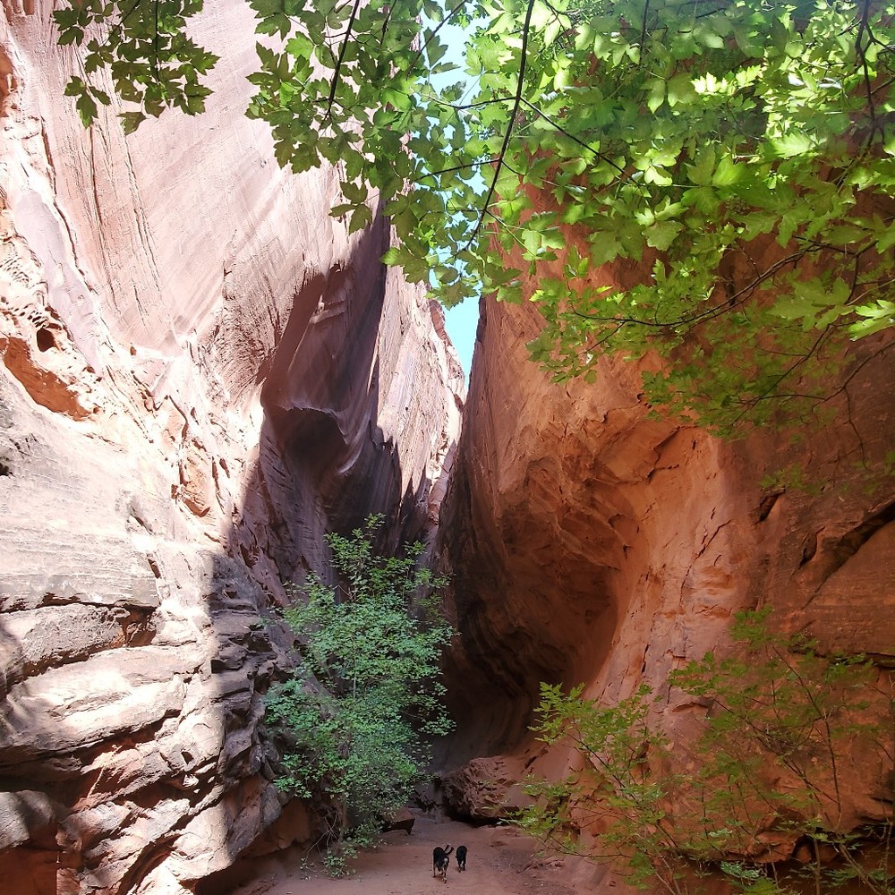 Meet your Posher, Steph